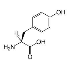 Tyrosine (as N-Acetyl-L-Tyrosine)